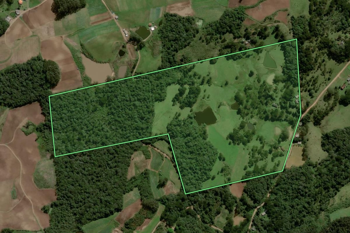 Imagem de satélite do imóvel rural em São Francisco de Paula (RS), com o contorno declarado no CAR desenhado por cima.