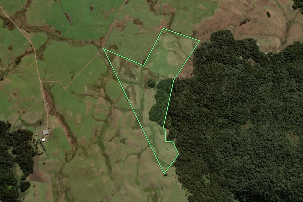 Imagem de satélite do imóvel rural em São Francisco de Paula (RS), com o contorno declarado no CAR desenhado por cima.