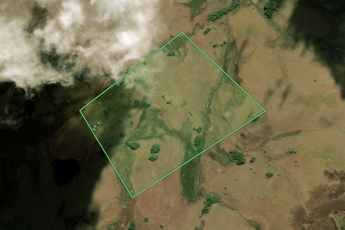 Imagem de satélite do imóvel rural em São Francisco de Paula (RS), com o contorno declarado no CAR desenhado por cima.