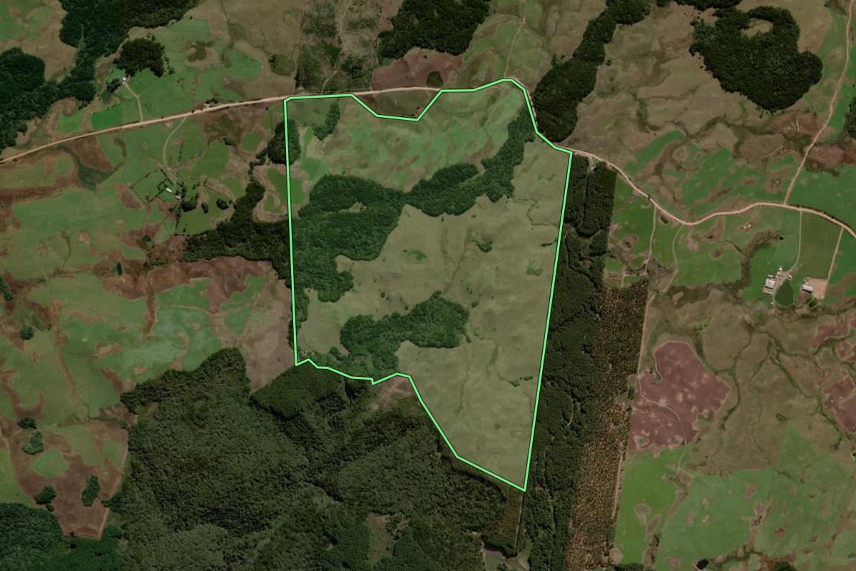 Imagem de satélite do imóvel rural em São Francisco de Paula (RS), com o contorno declarado no CAR desenhado por cima.