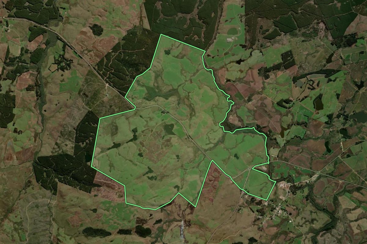Imagem de satélite do imóvel rural em São Francisco de Paula (RS), com o contorno declarado no CAR desenhado por cima.