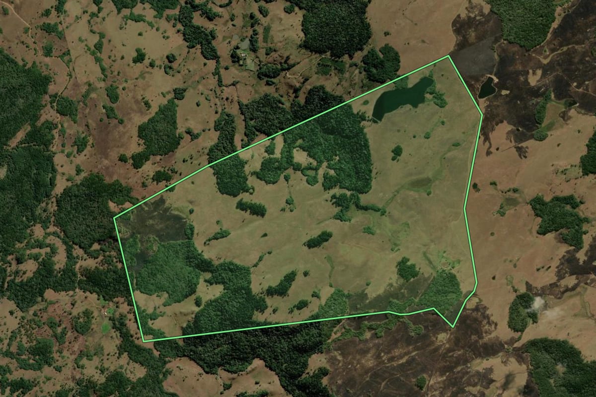 Imagem de satélite do imóvel rural em São Francisco de Paula (RS), com o contorno declarado no CAR desenhado por cima.