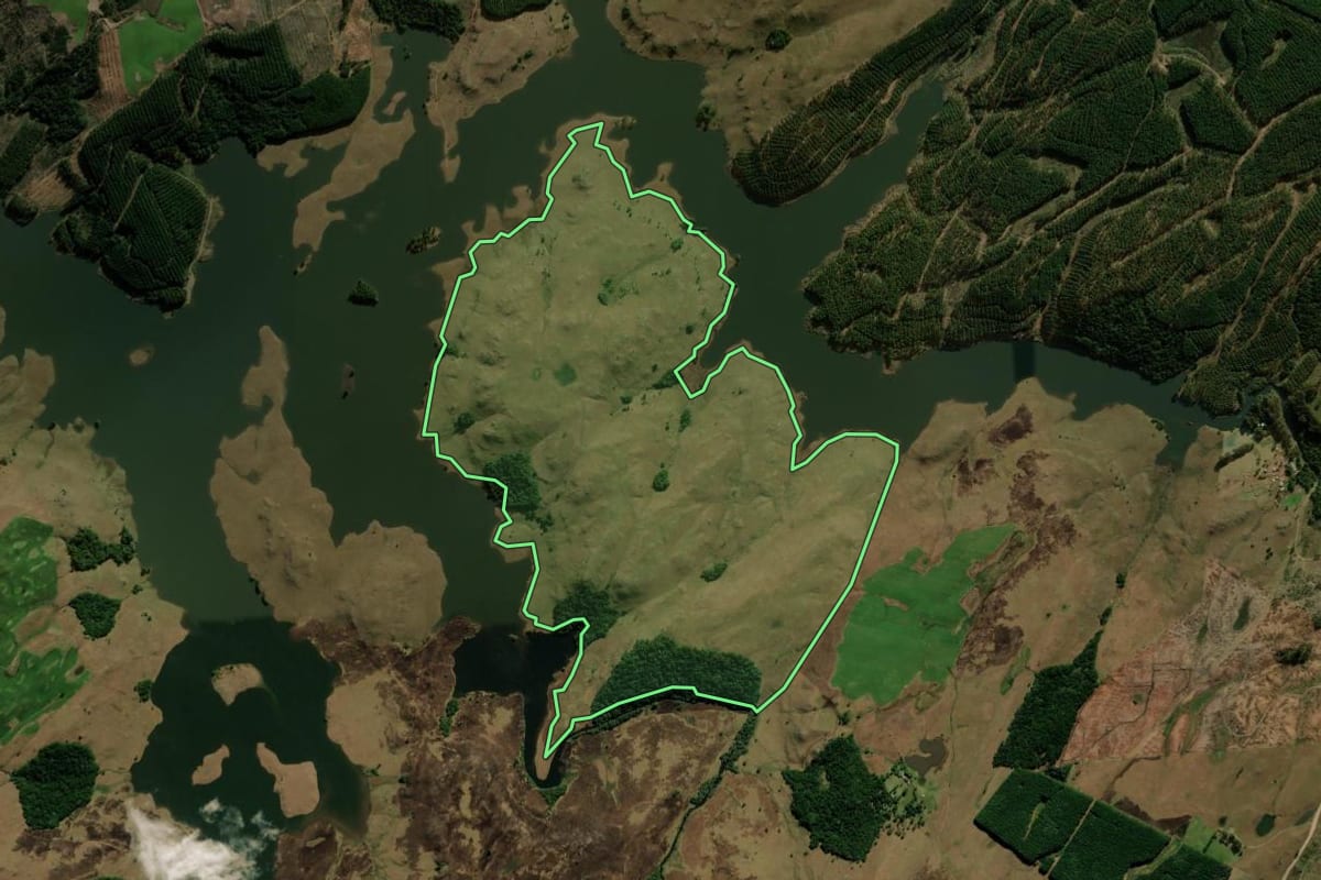 Imagem de satélite do imóvel rural em São Francisco de Paula (RS), com o contorno declarado no CAR desenhado por cima.