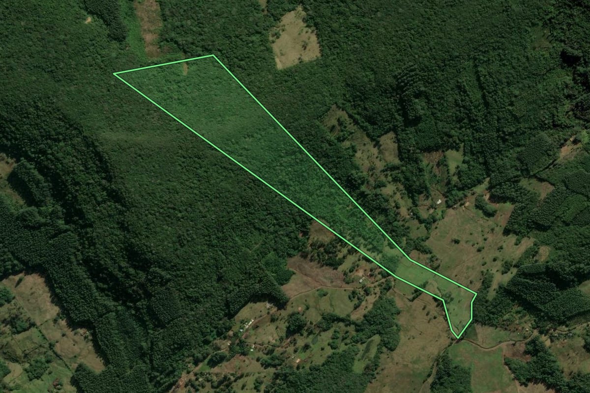 Imagem de satélite do imóvel rural em São Francisco de Paula (RS), com o contorno declarado no CAR desenhado por cima.
