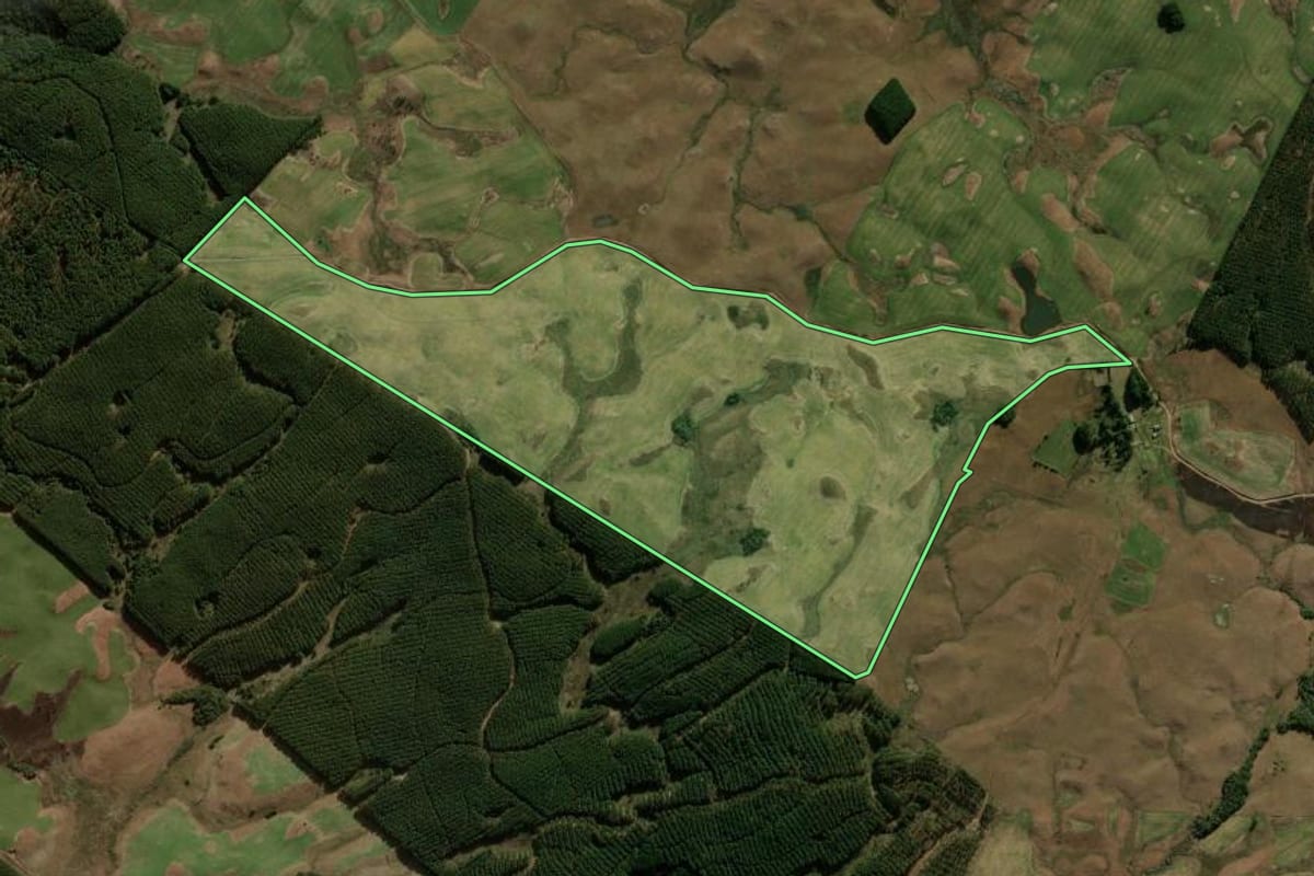 Imagem de satélite do imóvel rural em São Francisco de Paula (RS), com o contorno declarado no CAR desenhado por cima.
