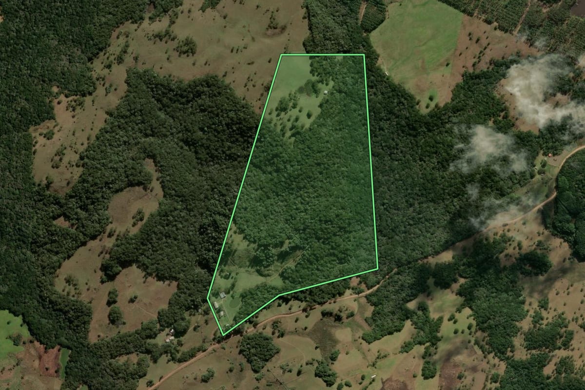Imagem de satélite do imóvel rural em São Francisco de Paula (RS), com o contorno declarado no CAR desenhado por cima.
