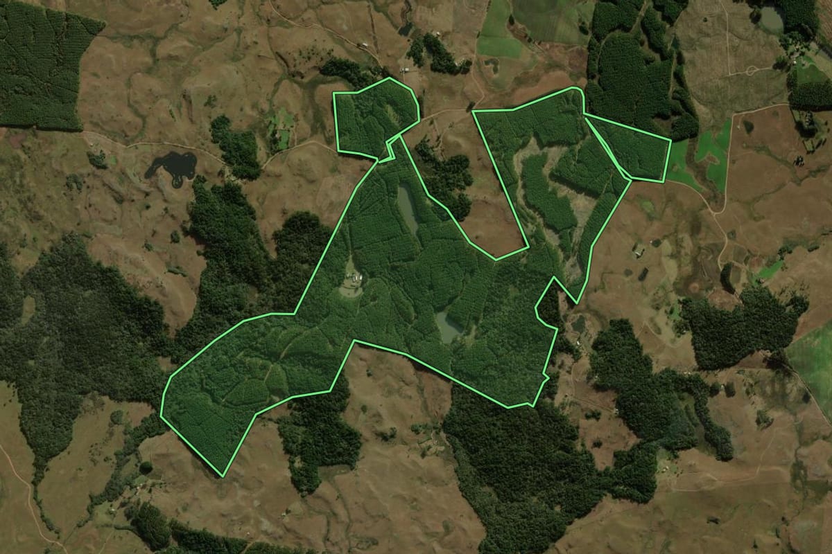 Imagem de satélite do imóvel rural em São Francisco de Paula (RS), com o contorno declarado no CAR desenhado por cima.