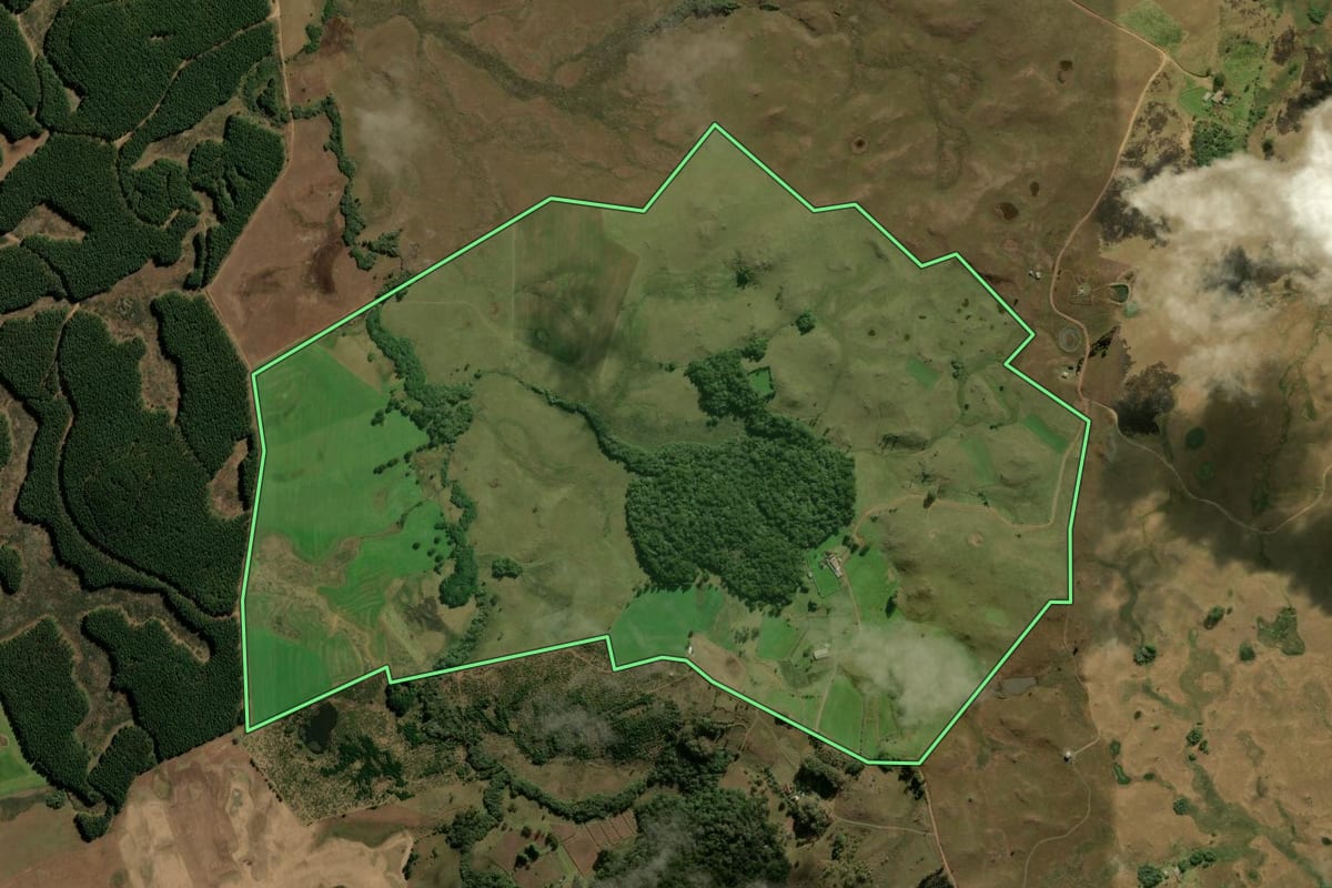Imagem de satélite do imóvel rural em São Francisco de Paula (RS), com o contorno declarado no CAR desenhado por cima.