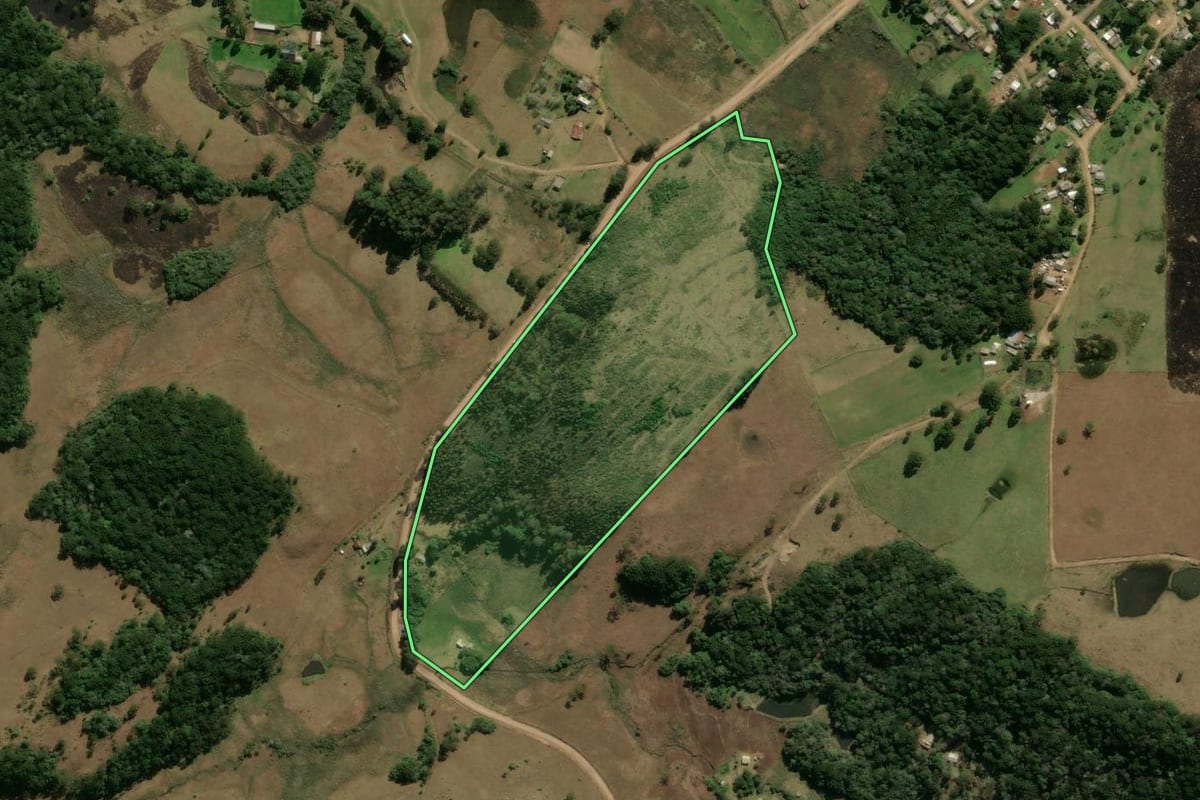 Imagem de satélite do imóvel rural em São Francisco de Paula (RS), com o contorno declarado no CAR desenhado por cima.