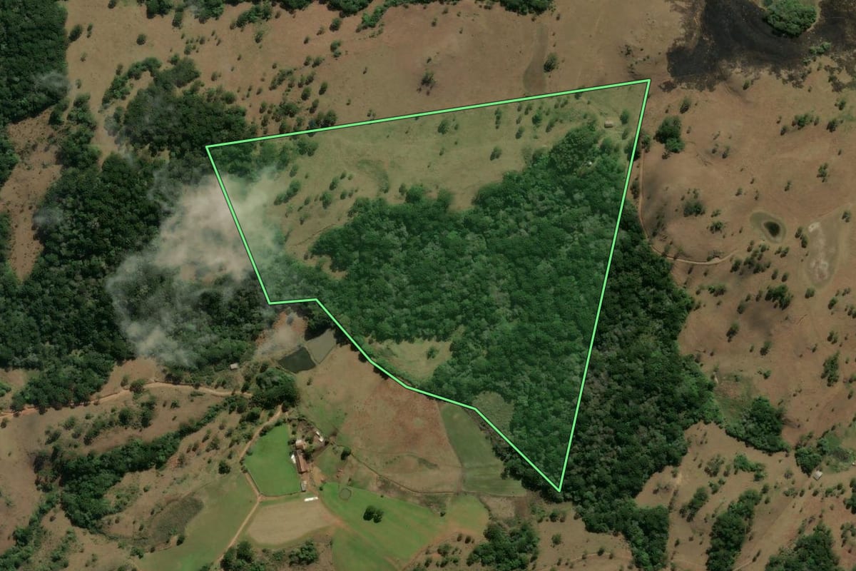 Imagem de satélite do imóvel rural em São Francisco de Paula (RS), com o contorno declarado no CAR desenhado por cima.