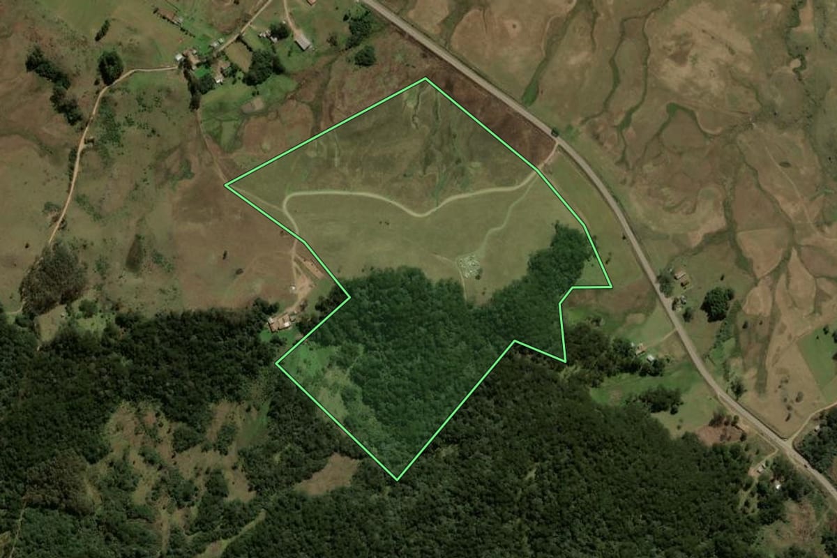 Imagem de satélite do imóvel rural em São Francisco de Paula (RS), com o contorno declarado no CAR desenhado por cima.