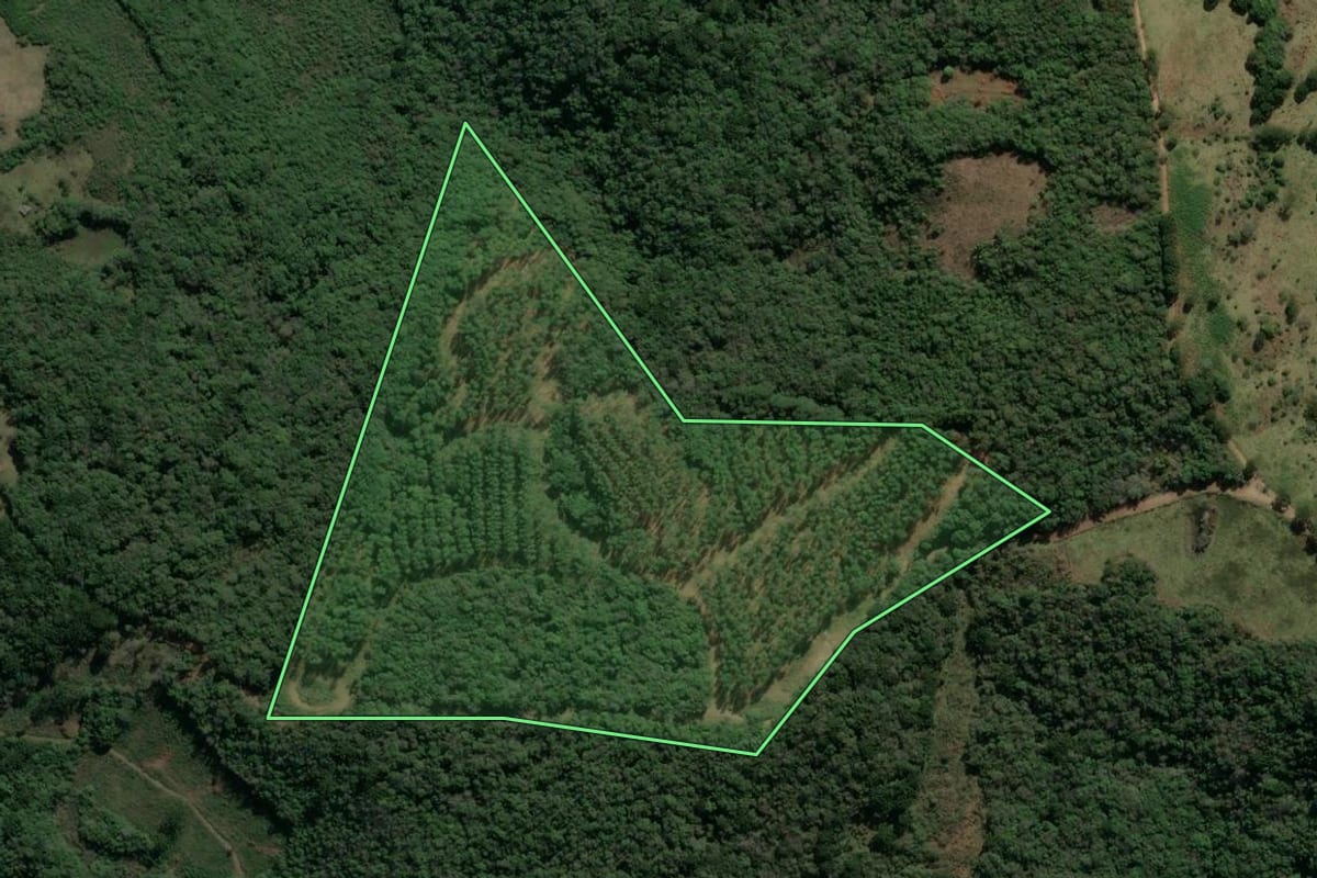 Imagem de satélite do imóvel rural em São Francisco de Paula (RS), com o contorno declarado no CAR desenhado por cima.