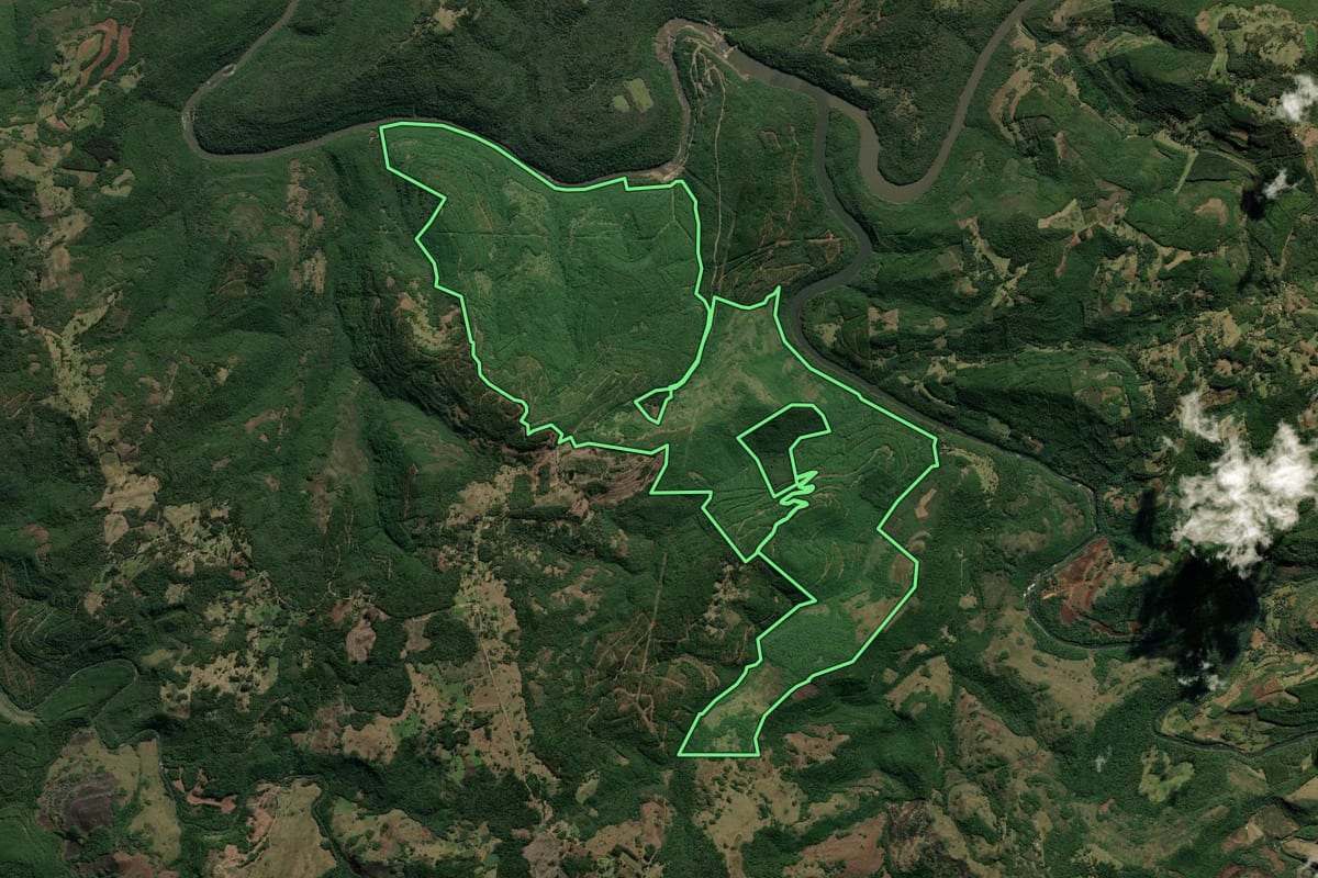 Imagem de satélite do imóvel rural em São Francisco de Paula (RS), com o contorno declarado no CAR desenhado por cima.