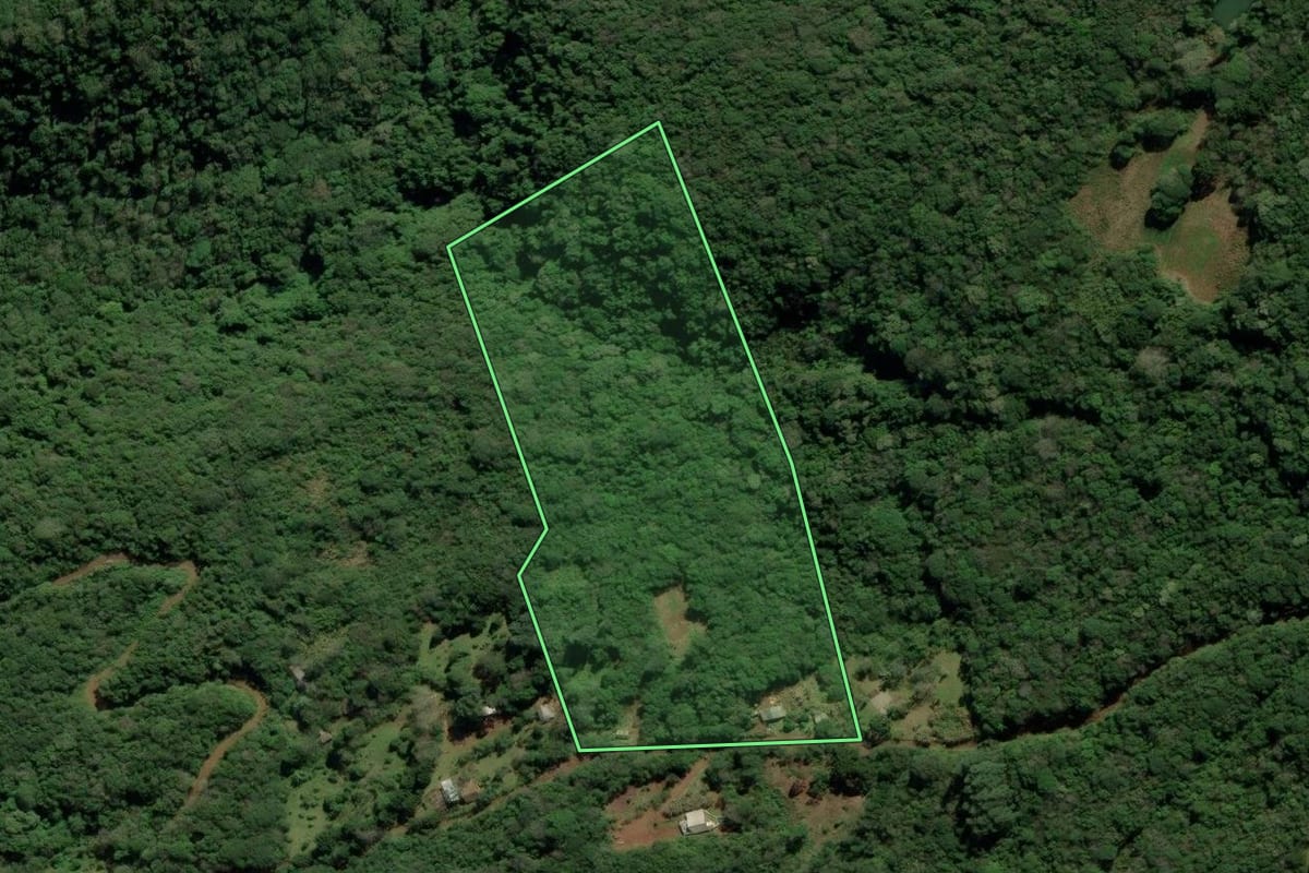 Imagem de satélite do imóvel rural em São Francisco de Paula (RS), com o contorno declarado no CAR desenhado por cima.