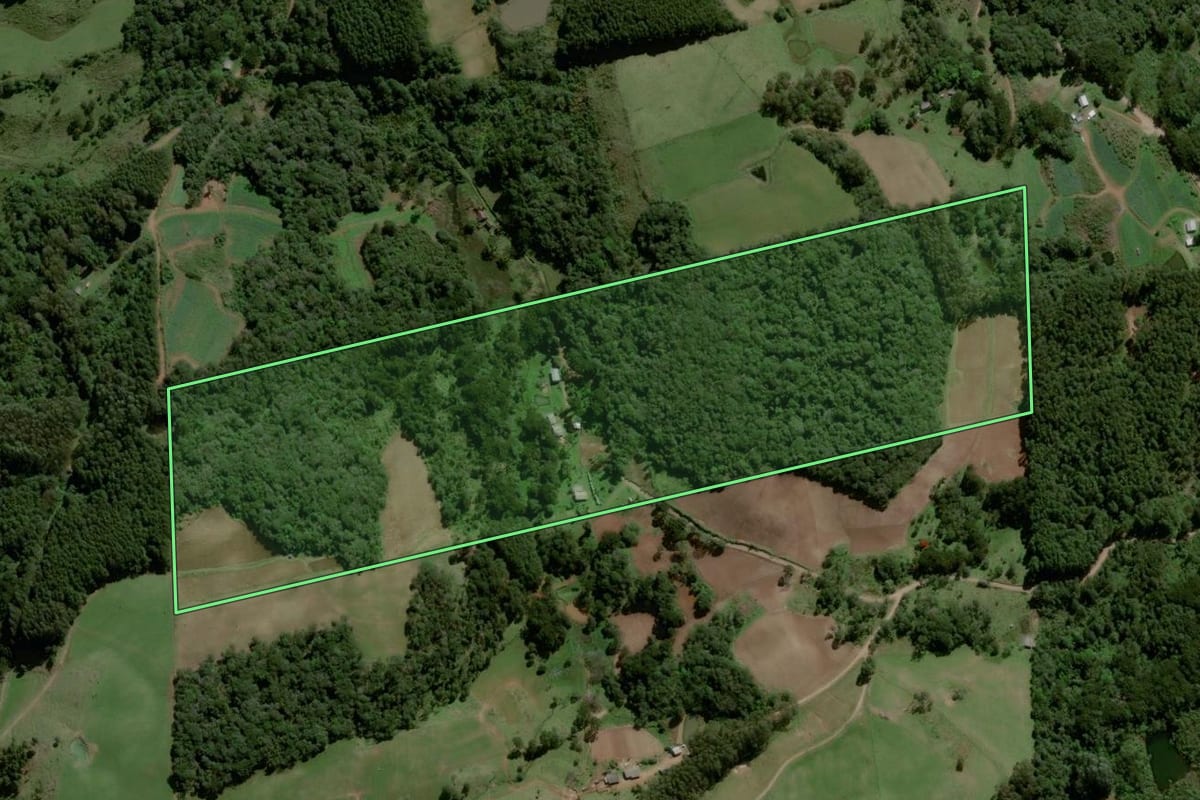 Imagem de satélite do imóvel rural em São Francisco de Paula (RS), com o contorno declarado no CAR desenhado por cima.