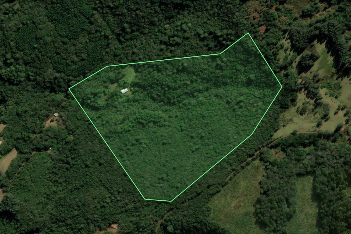 Imagem de satélite do imóvel rural em São Francisco de Paula (RS), com o contorno declarado no CAR desenhado por cima.