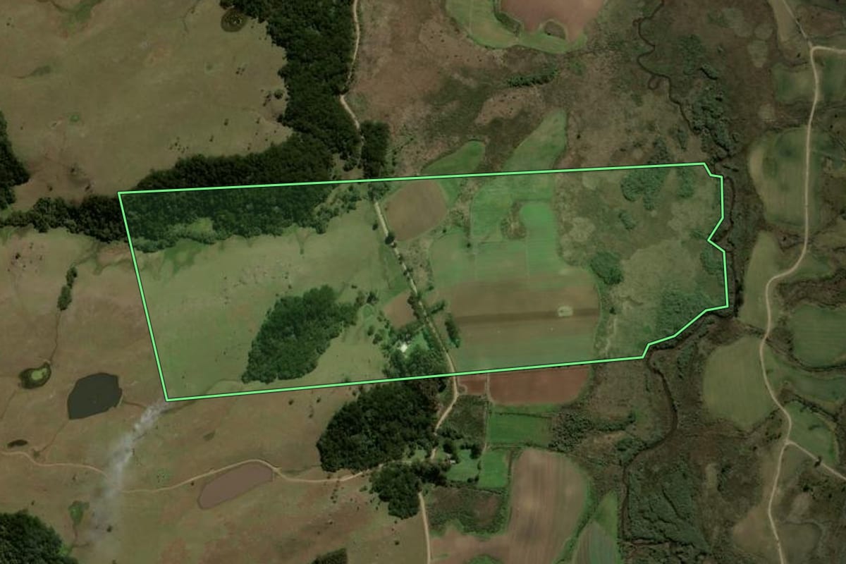 Imagem de satélite do imóvel rural em São Francisco de Paula (RS), com o contorno declarado no CAR desenhado por cima.