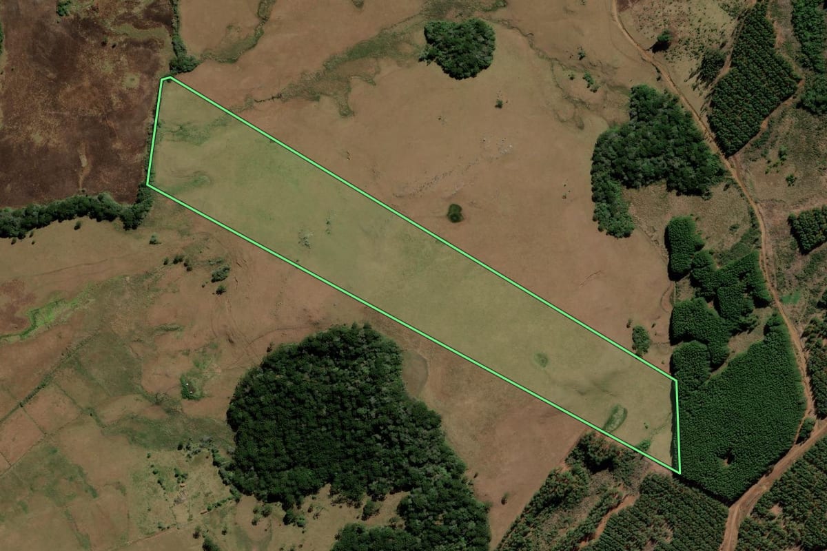 Imagem de satélite do imóvel rural em São Francisco de Paula (RS), com o contorno declarado no CAR desenhado por cima.