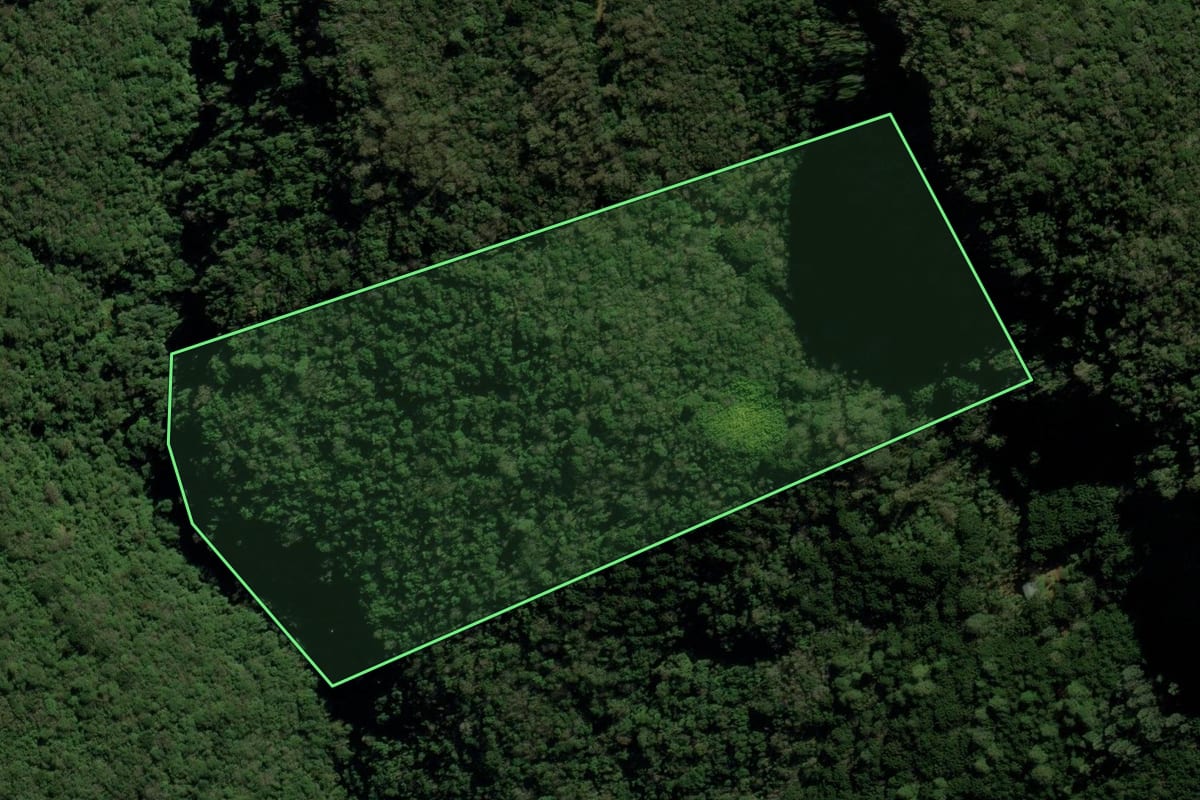 Imagem de satélite do imóvel rural em São Francisco de Paula (RS), com o contorno declarado no CAR desenhado por cima.