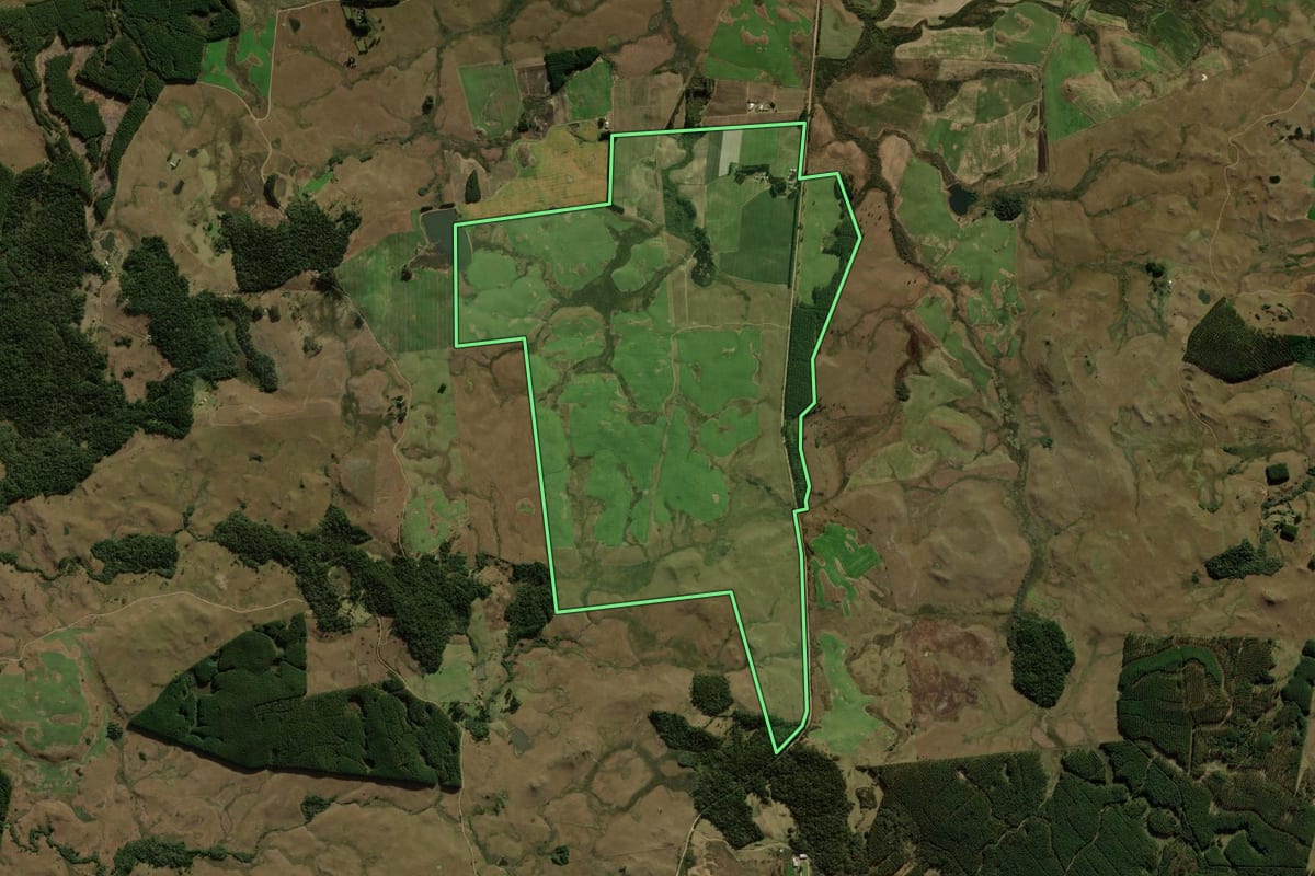 Imagem de satélite do imóvel rural em São Francisco de Paula (RS), com o contorno declarado no CAR desenhado por cima.