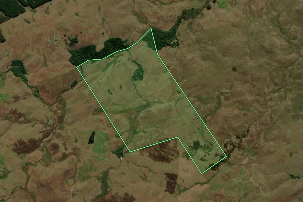 Imagem de satélite do imóvel rural em São Francisco de Paula (RS), com o contorno declarado no CAR desenhado por cima.
