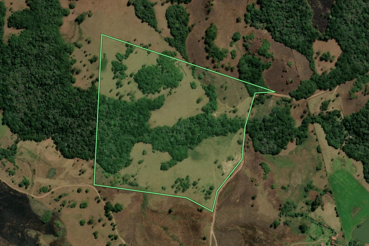 Imagem de satélite do imóvel rural em São Francisco de Paula (RS), com o contorno declarado no CAR desenhado por cima.
