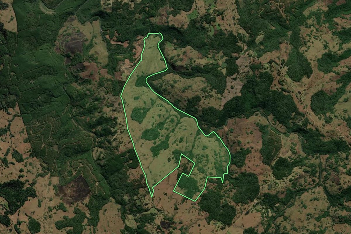 Imagem de satélite do imóvel rural em São Francisco de Paula (RS), com o contorno declarado no CAR desenhado por cima.