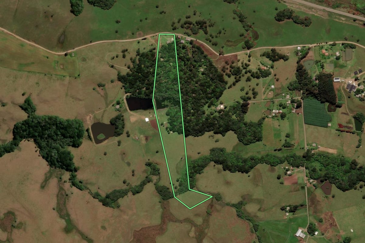 Imagem de satélite do imóvel rural em São Francisco de Paula (RS), com o contorno declarado no CAR desenhado por cima.