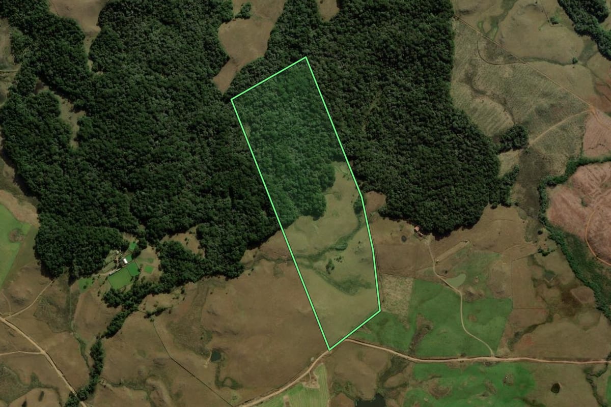 Imagem de satélite do imóvel rural em São Francisco de Paula (RS), com o contorno declarado no CAR desenhado por cima.