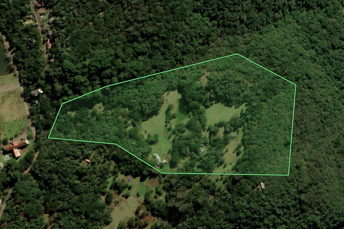Imagem de satélite do imóvel rural em São Francisco de Paula (RS), com o contorno declarado no CAR desenhado por cima.