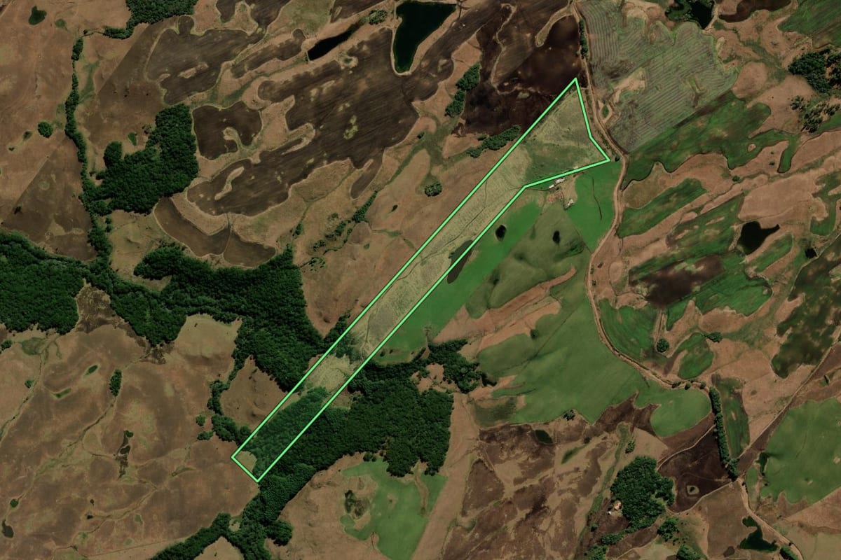 Imagem de satélite do imóvel rural em São Francisco de Paula (RS), com o contorno declarado no CAR desenhado por cima.