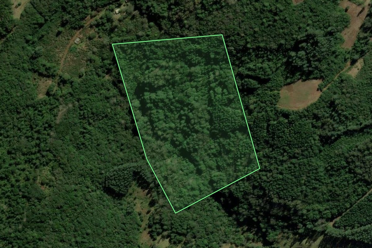 Imagem de satélite do imóvel rural em São Francisco de Paula (RS), com o contorno declarado no CAR desenhado por cima.