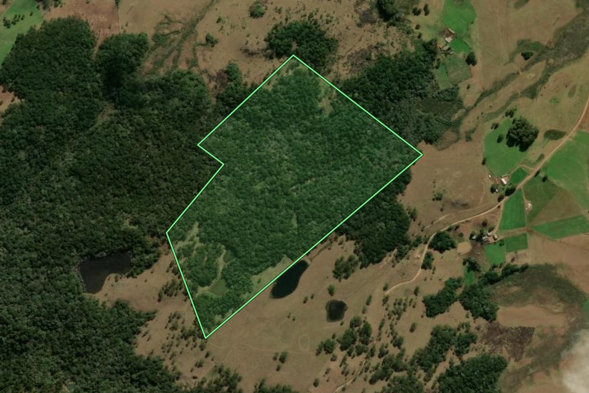Imagem de satélite do imóvel rural em São Francisco de Paula (RS), com o contorno declarado no CAR desenhado por cima.