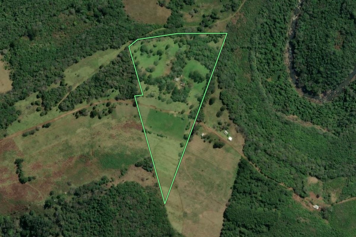 Imagem de satélite do imóvel rural em São Francisco de Paula (RS), com o contorno declarado no CAR desenhado por cima.