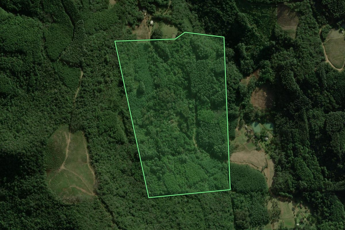Imagem de satélite do imóvel rural em São Francisco de Paula (RS), com o contorno declarado no CAR desenhado por cima.