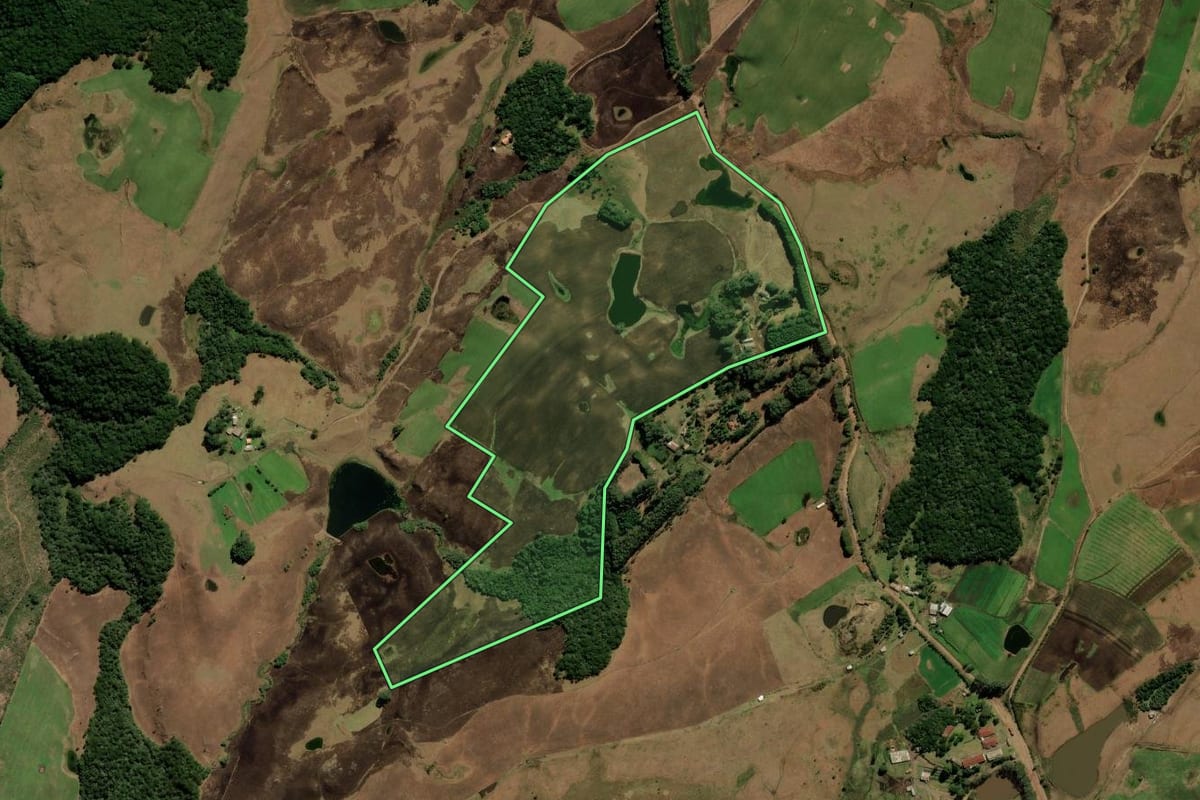 Imagem de satélite do imóvel rural em São Francisco de Paula (RS), com o contorno declarado no CAR desenhado por cima.