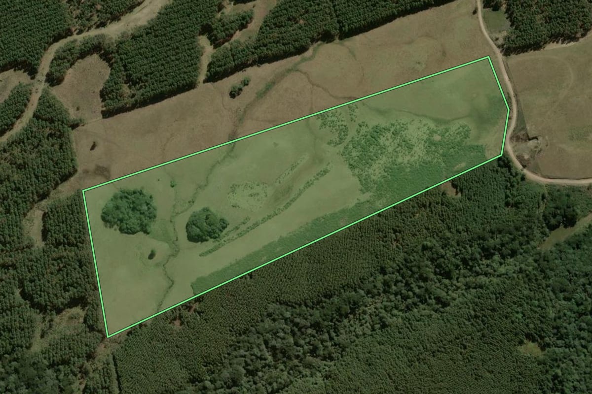 Imagem de satélite do imóvel rural em São Francisco de Paula (RS), com o contorno declarado no CAR desenhado por cima.