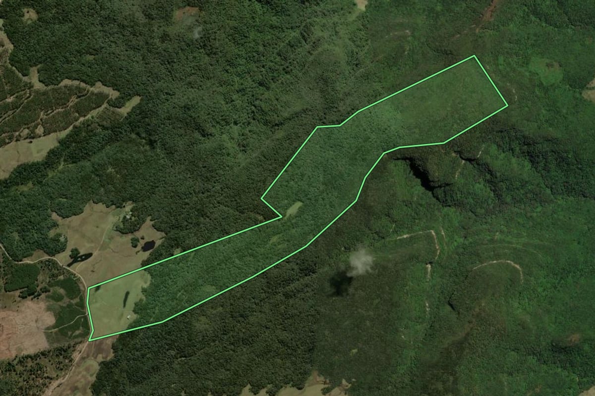 Imagem de satélite do imóvel rural em São Francisco de Paula (RS), com o contorno declarado no CAR desenhado por cima.