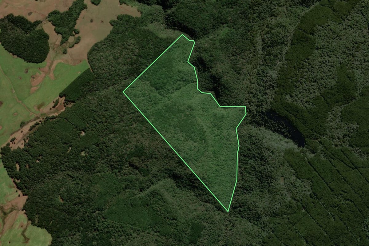 Imagem de satélite do imóvel rural em São Francisco de Paula (RS), com o contorno declarado no CAR desenhado por cima.