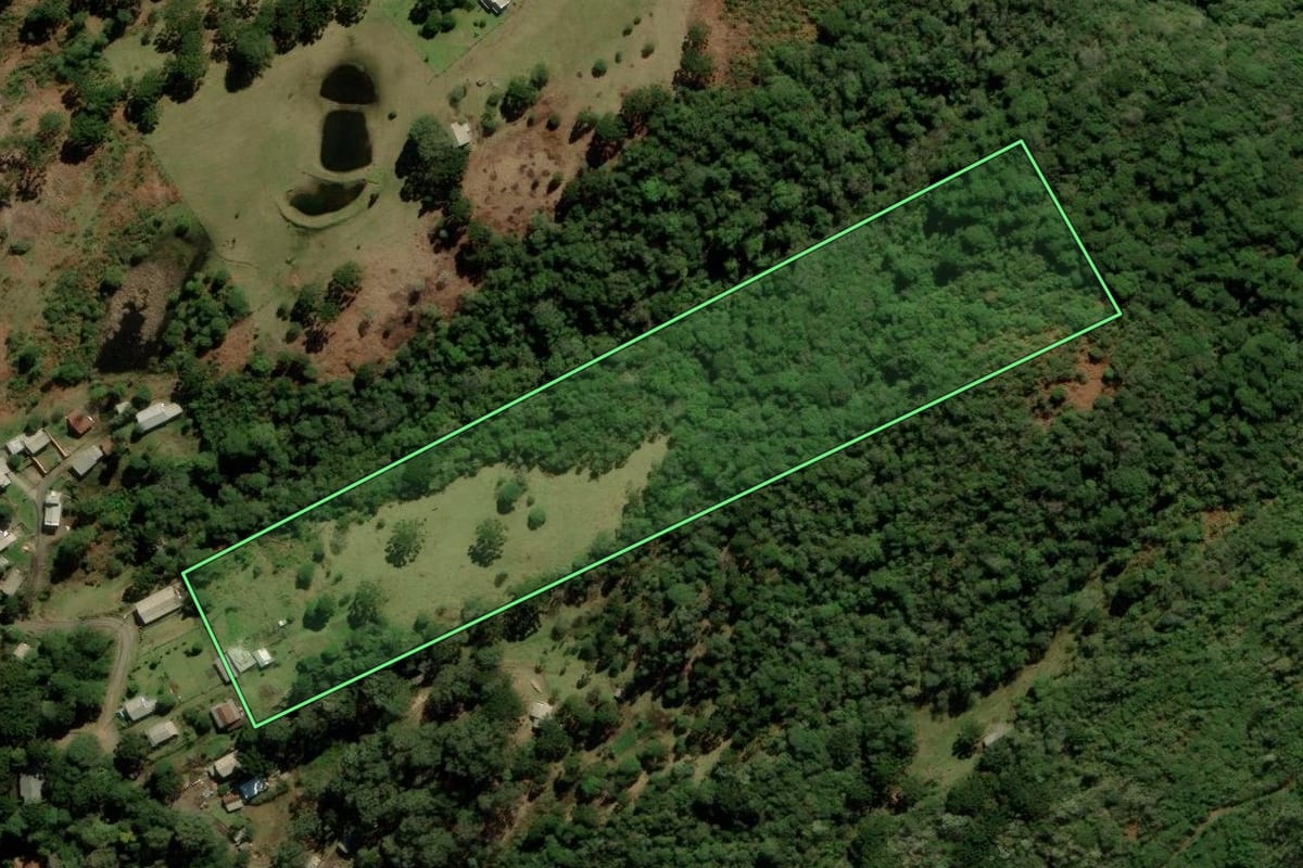Imagem de satélite do imóvel rural em São Francisco de Paula (RS), com o contorno declarado no CAR desenhado por cima.