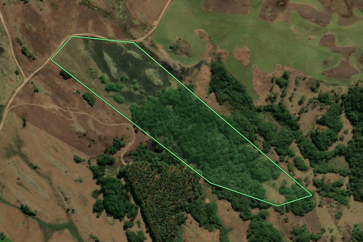 Imagem de satélite do imóvel rural em São Francisco de Paula (RS), com o contorno declarado no CAR desenhado por cima.