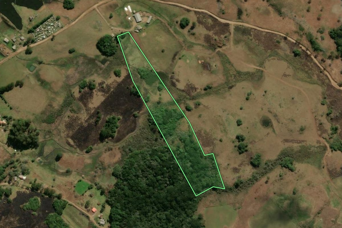 Imagem de satélite do imóvel rural em São Francisco de Paula (RS), com o contorno declarado no CAR desenhado por cima.