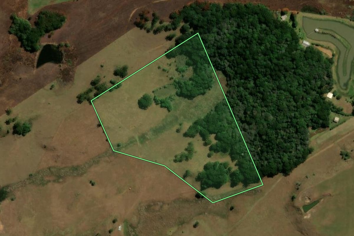 Imagem de satélite do imóvel rural em São Francisco de Paula (RS), com o contorno declarado no CAR desenhado por cima.