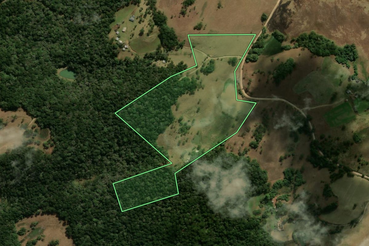 Imagem de satélite do imóvel rural em São Francisco de Paula (RS), com o contorno declarado no CAR desenhado por cima.