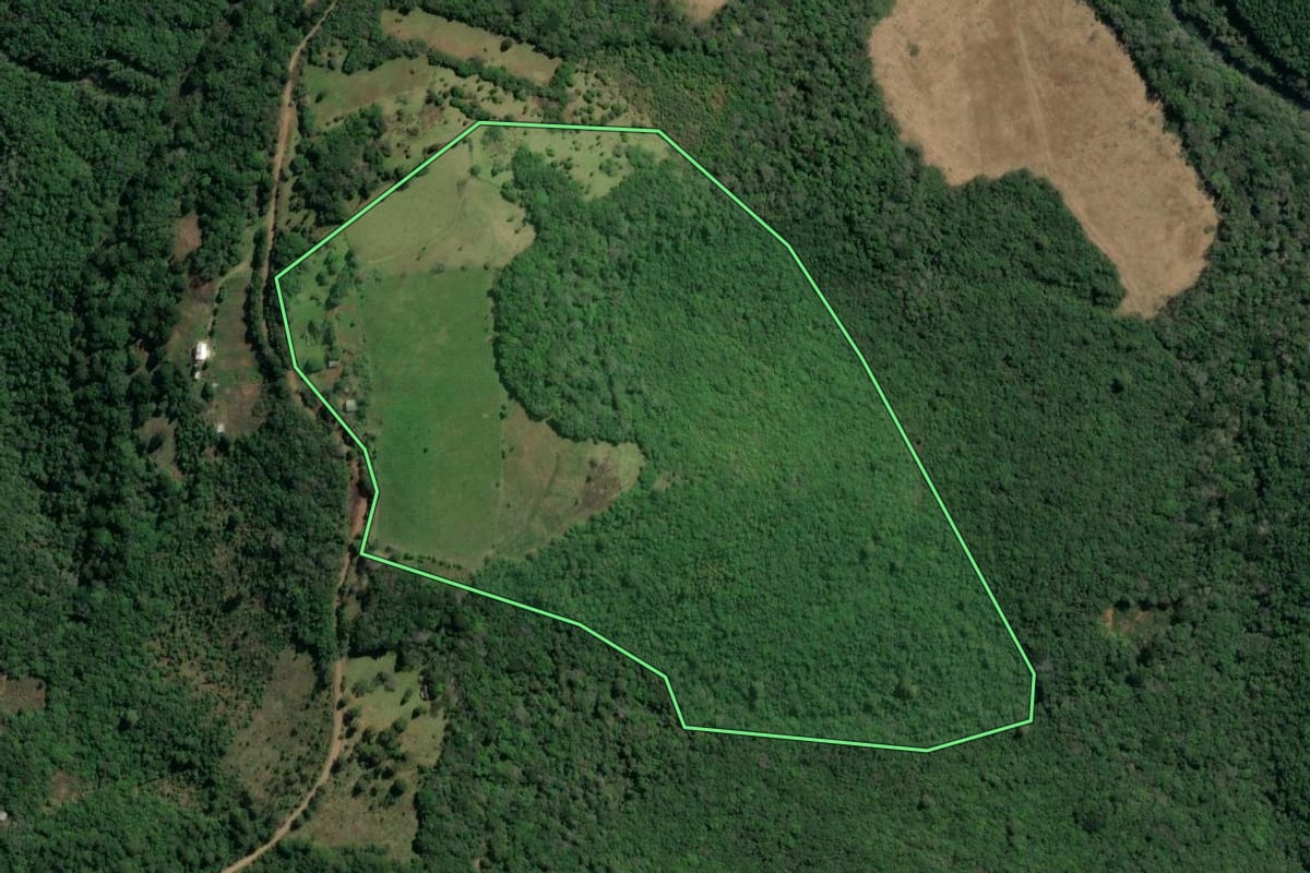 Imagem de satélite do imóvel rural em São Francisco de Paula (RS), com o contorno declarado no CAR desenhado por cima.