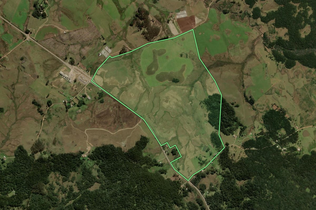 Imagem de satélite do imóvel rural em São Francisco de Paula (RS), com o contorno declarado no CAR desenhado por cima.