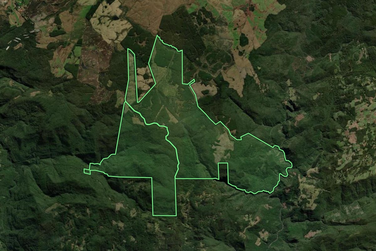 Imagem de satélite do imóvel rural em São Francisco de Paula (RS), com o contorno declarado no CAR desenhado por cima.