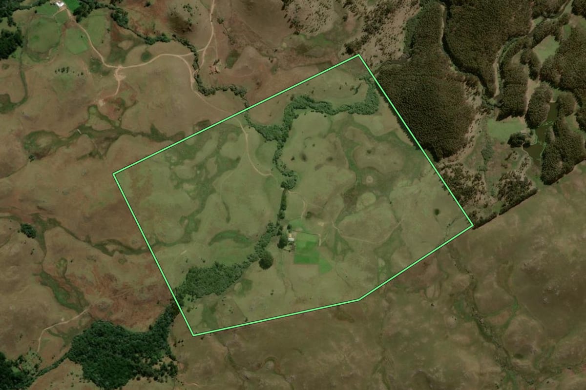 Imagem de satélite do imóvel rural em São Francisco de Paula (RS), com o contorno declarado no CAR desenhado por cima.
