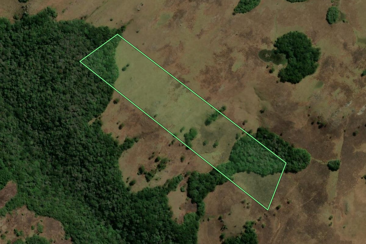 Imagem de satélite do imóvel rural em São Francisco de Paula (RS), com o contorno declarado no CAR desenhado por cima.