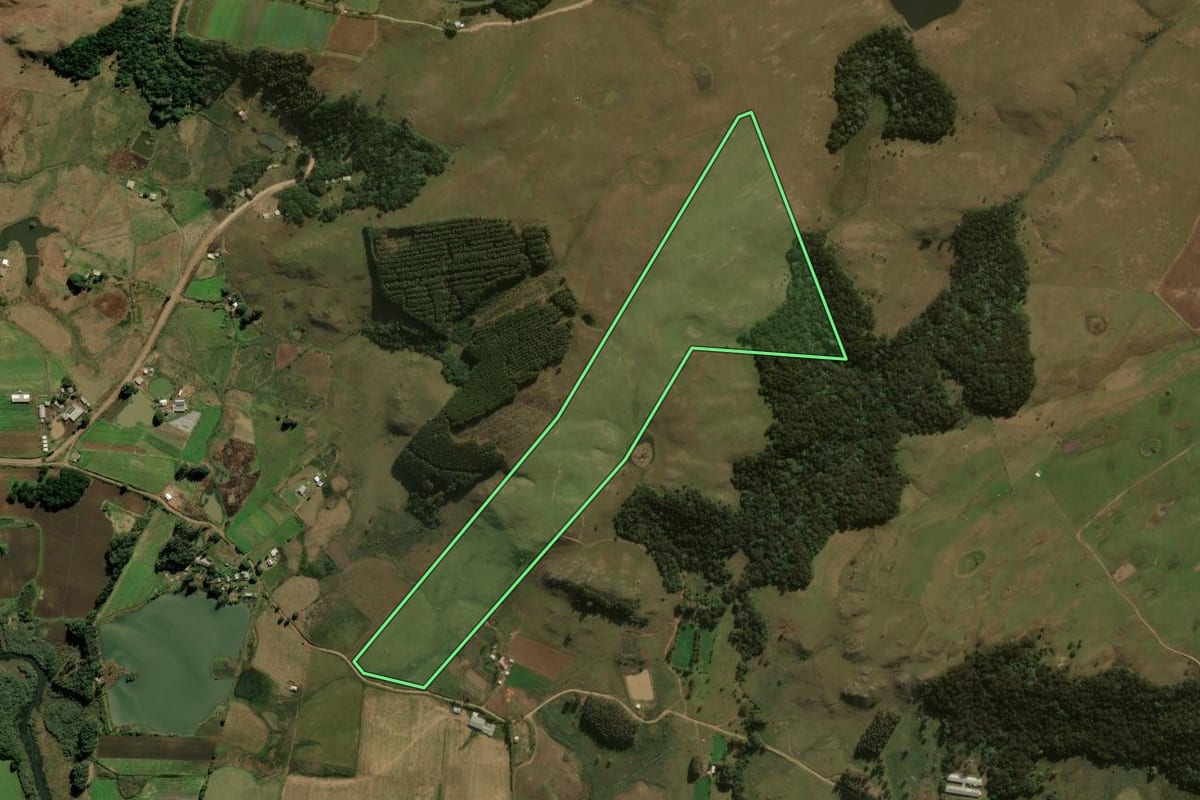Imagem de satélite do imóvel rural em São Francisco de Paula (RS), com o contorno declarado no CAR desenhado por cima.